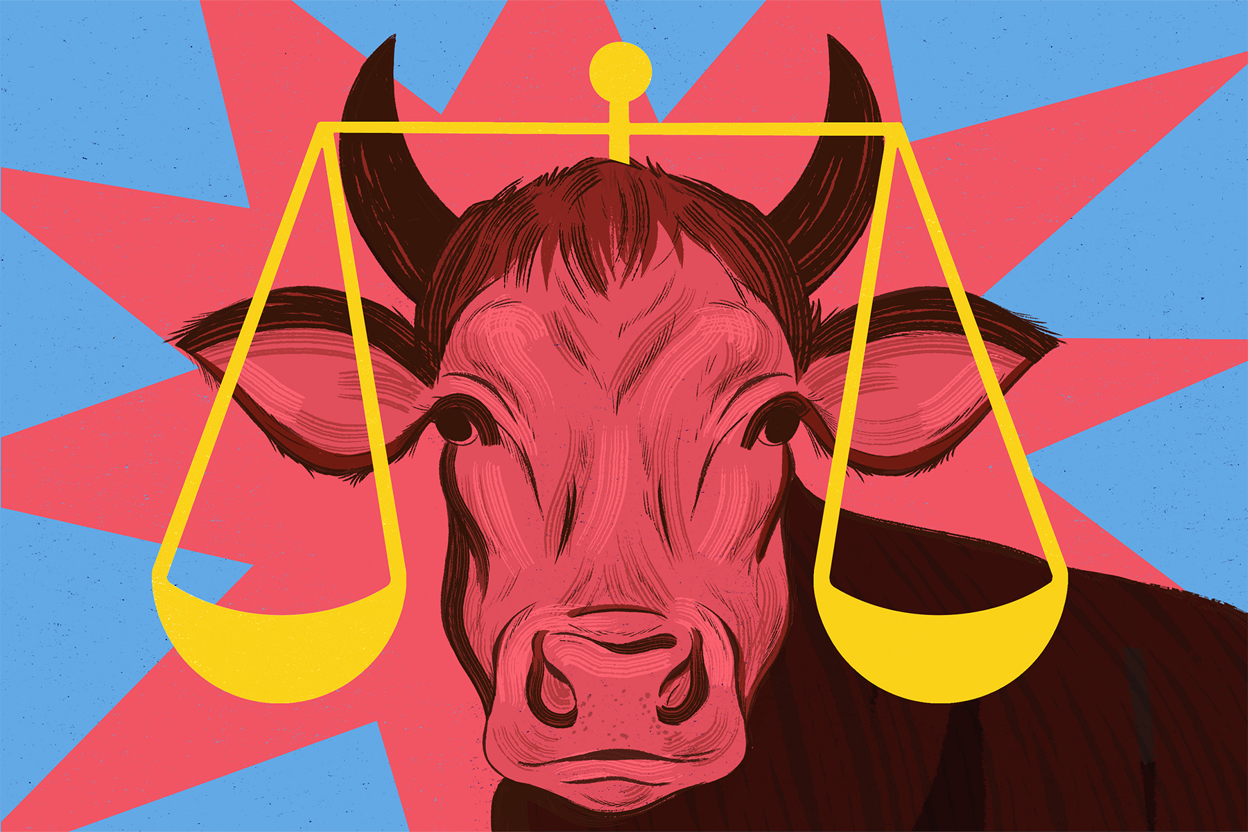 The Beef Over Kosher Beef