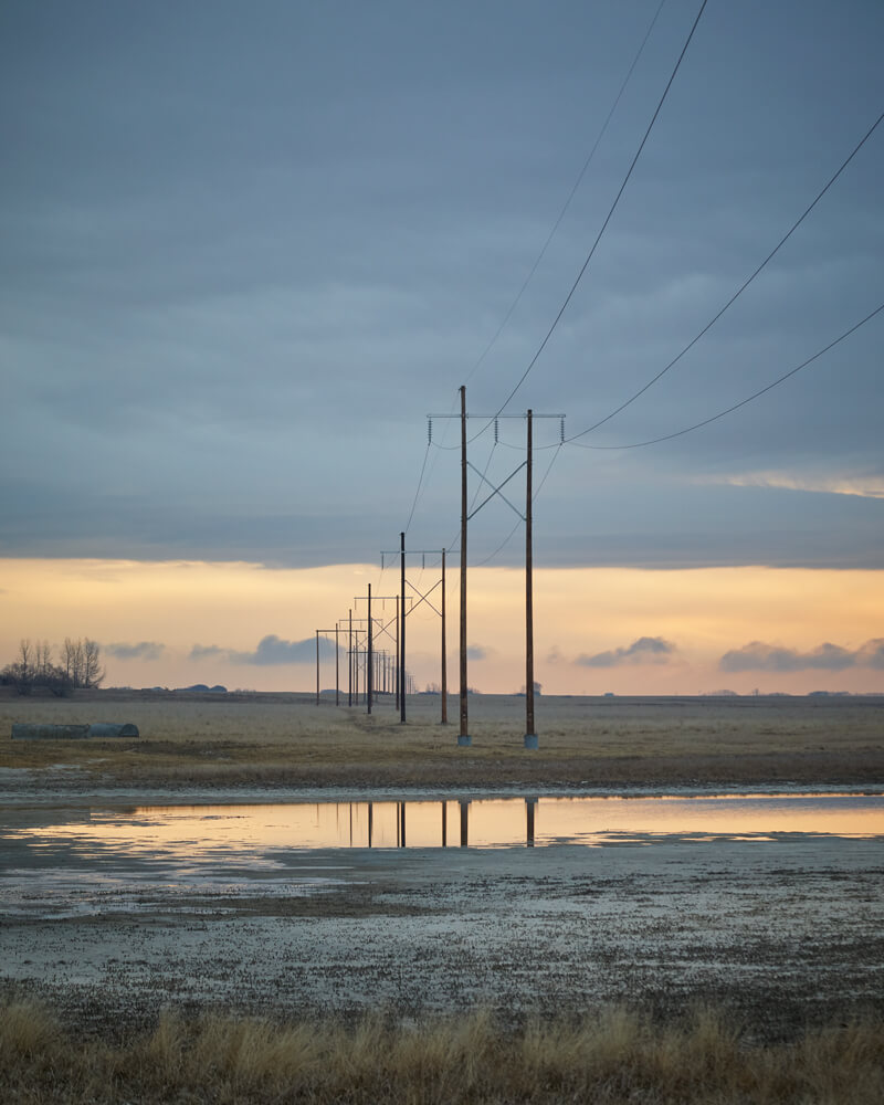 Hydro lines near Elstow, Saskatchewan