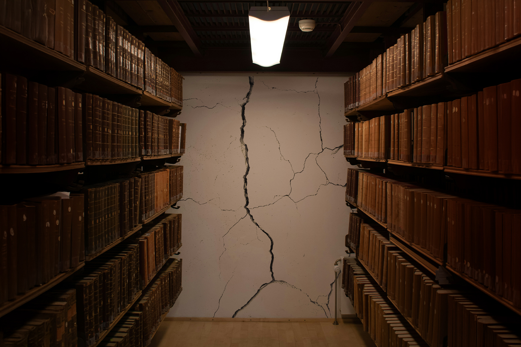 Canada's Archives Are in Trouble-and So Is Its History | The Walrus