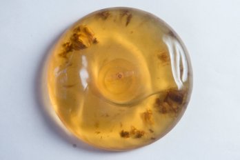Photo by Justin Tang. A transparent breast implant that looks yellow and has dark brown spots