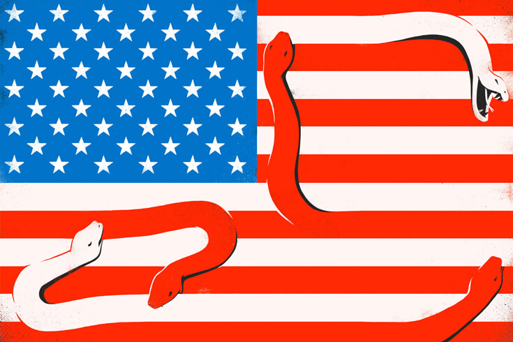Illustration of the American flag with snakes as some of the red and white stripes.