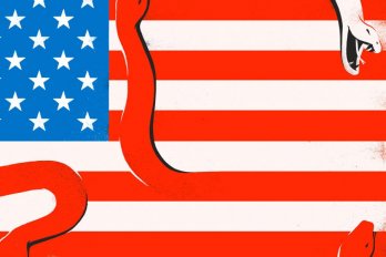 American flag with snakes