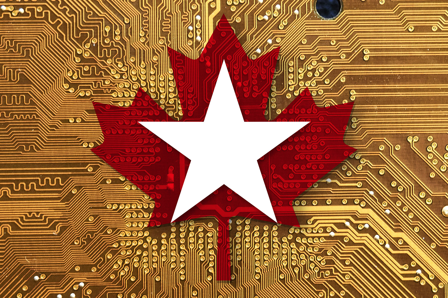 Cohere Is Canada’s Biggest AI Hope. Why Is It So American?