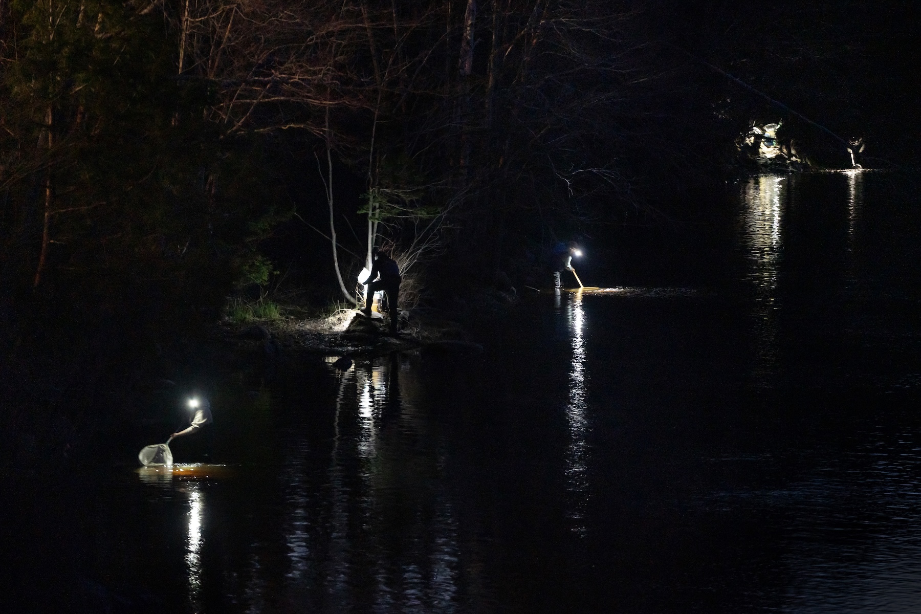 Dark image of people fishing in a river while wearing headlamps.