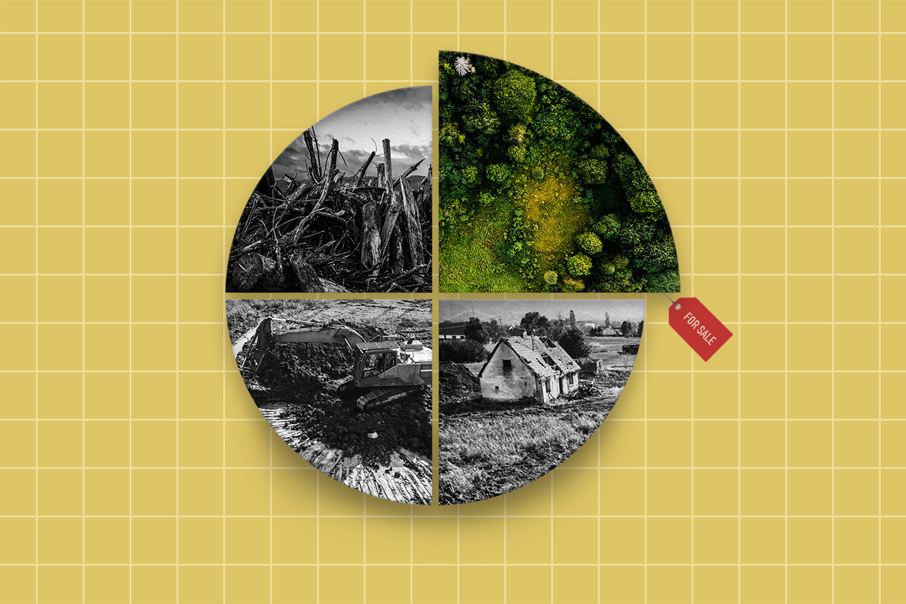 "Green Finance" Promises to Save the Planet. It's Doing the Opposite | The Walrus