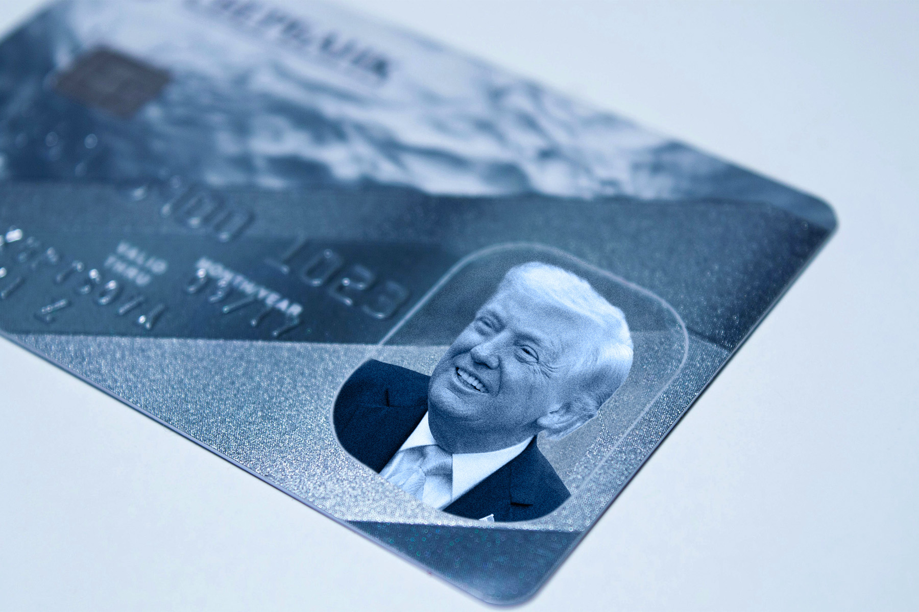 Why Your Credit Card Is a National Security Threat | The Walrus