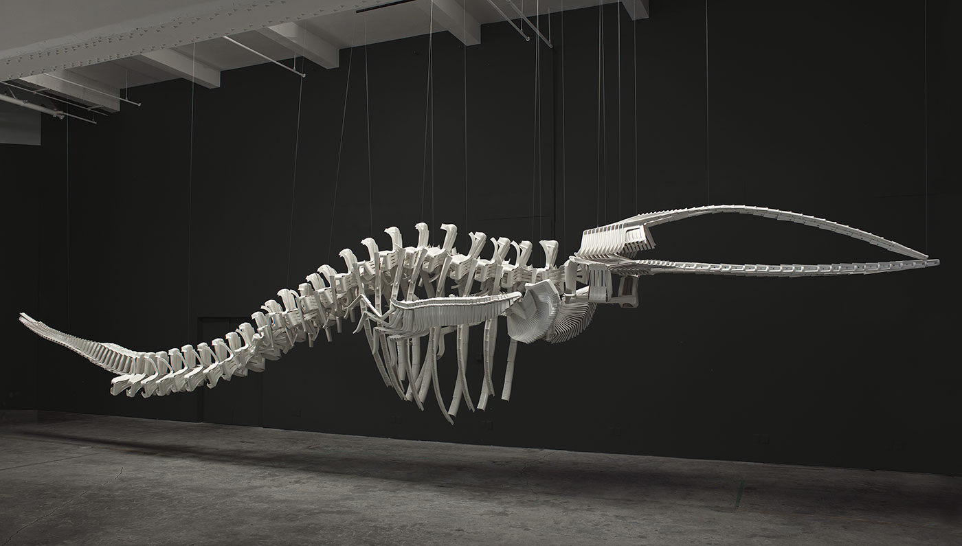 Photograph by Trevor Mills