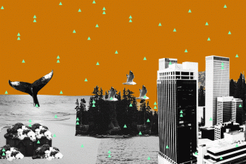 collage of images from stories
