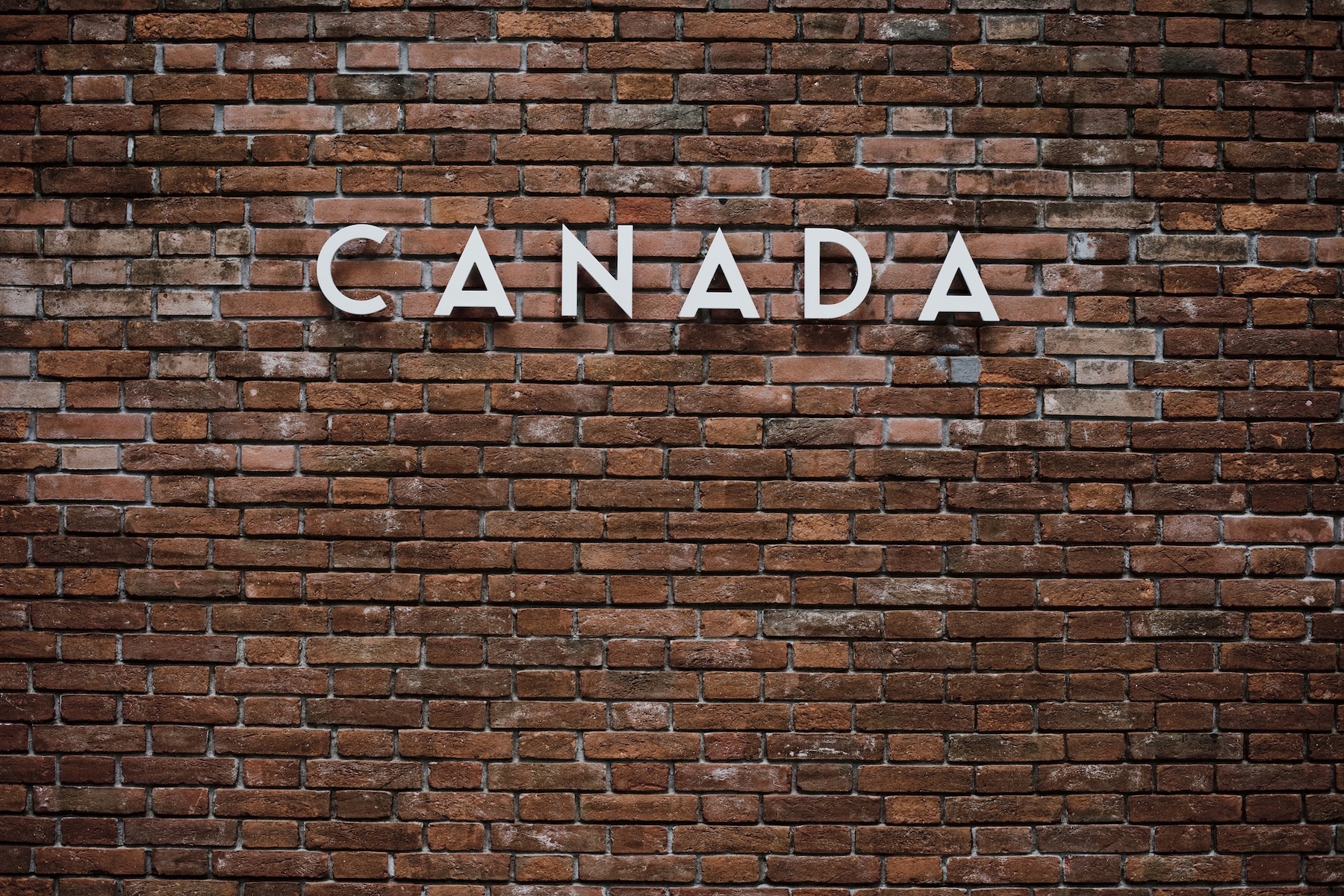 Why Does Ottawa Keep Funding Fake Canadian Companies? | The Walrus