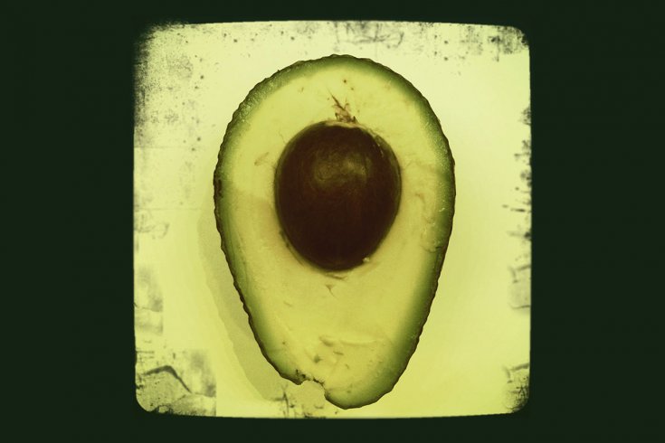 Photograph of avocado by woodleywonderworks