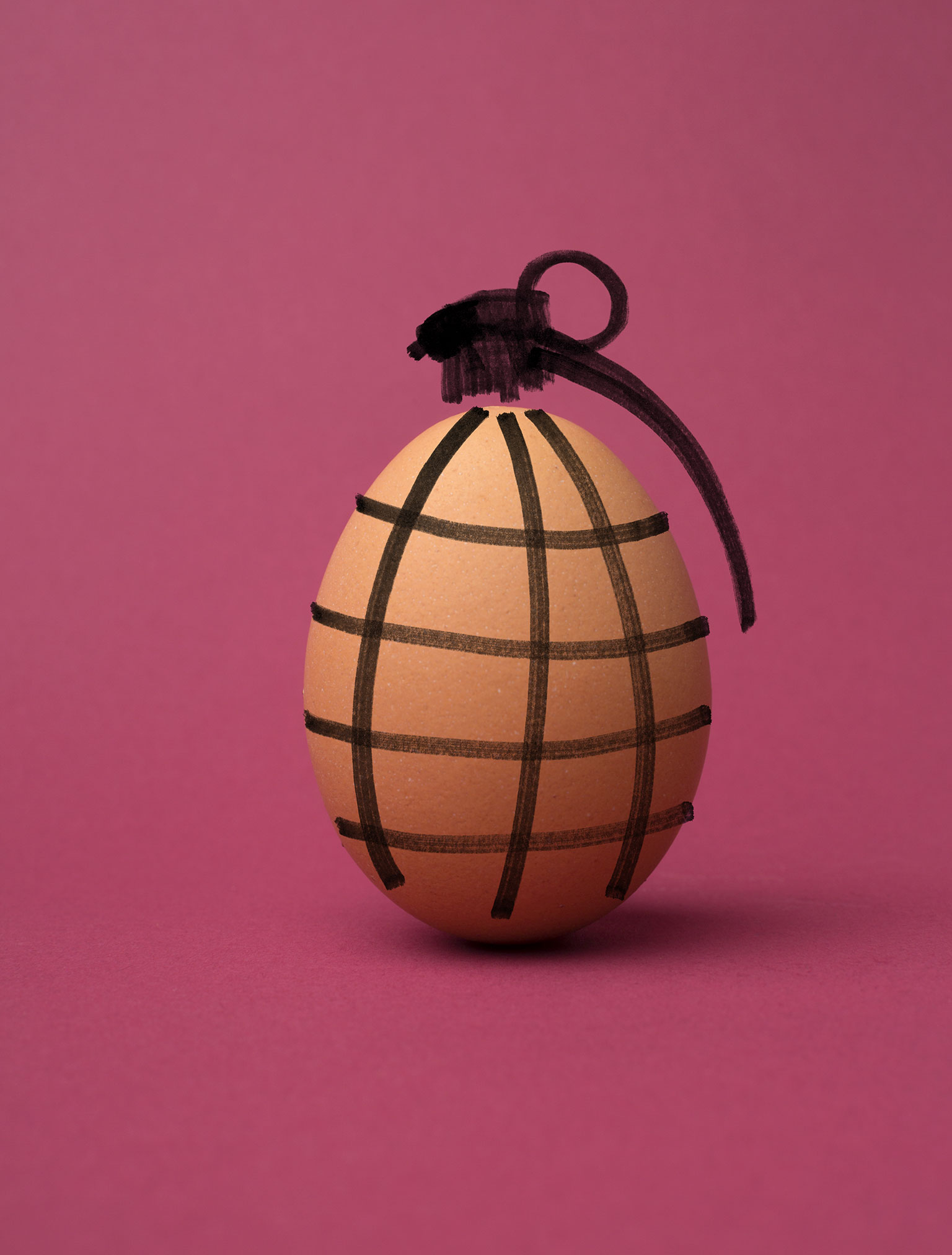 Illustration by Tamara Shopsin and Jason Fulford